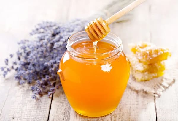 قیمت خرید عسل گون چهل گیاه عمده به صرفه و ارزان